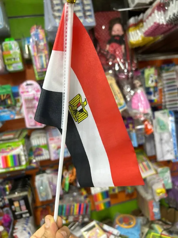صورة 3 — علم مصر