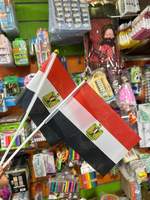 صورة 4 — علم مصر