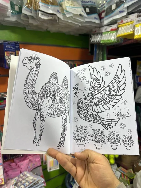 صورة 5 — كتاب مانديلا مثلث الابداع